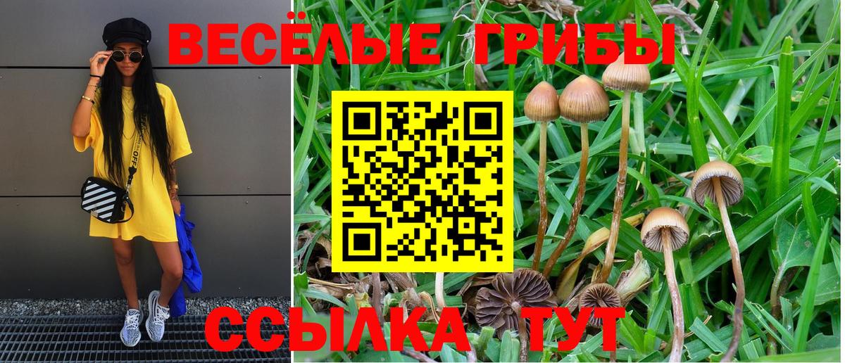 Первоуральск  Галлюциногенные грибы Magic Shrooms  Вход с VPN 